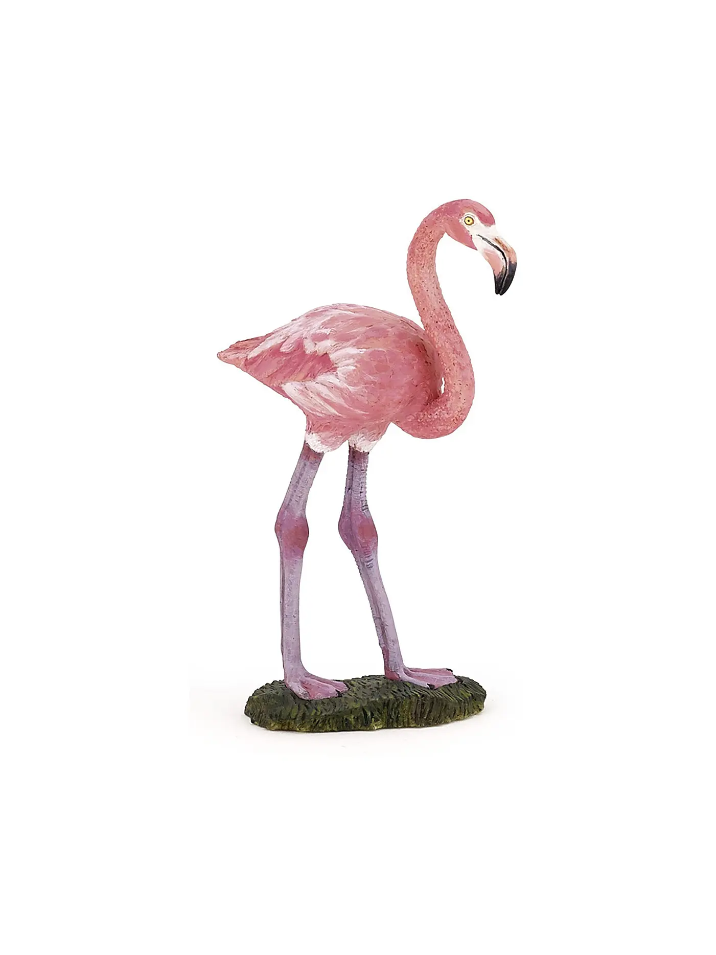 PAPO | Rosa Flamingo | 